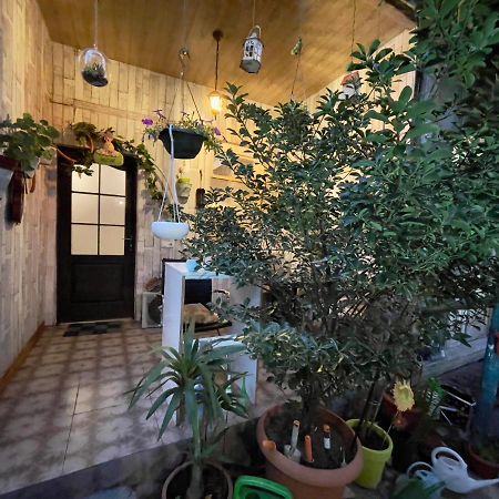 Mr Guest House Tbilisi Exterior photo